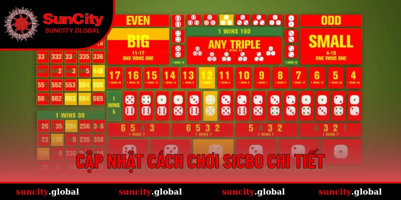 Tóm tắt hoàn chỉnh về cách chơi Sicbo cho tất cả thành viên mới