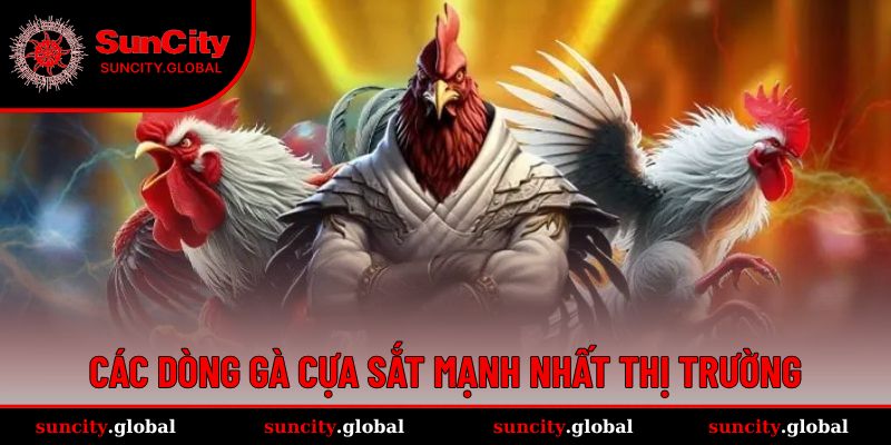 Đá Gà Cựa Sắt - Cá Cược Cực Gây Cấn, Lợi Nhuận Cực Xịn 4 Những loại chiến kê mạnh nhất trong đấu cựa sắt
