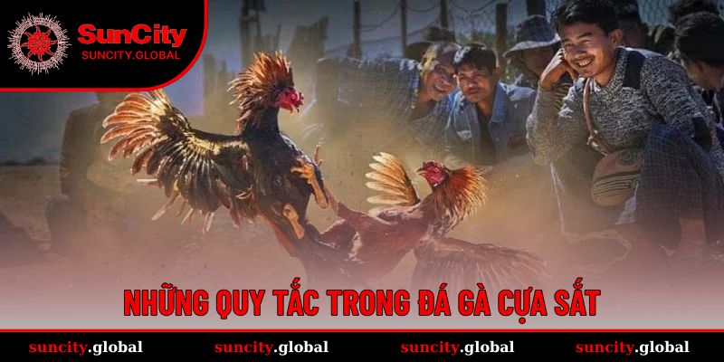 Đá Gà Cựa Sắt - Cá Cược Cực Gây Cấn, Lợi Nhuận Cực Xịn 2 Những quy tắc cược chọi kê cần biết