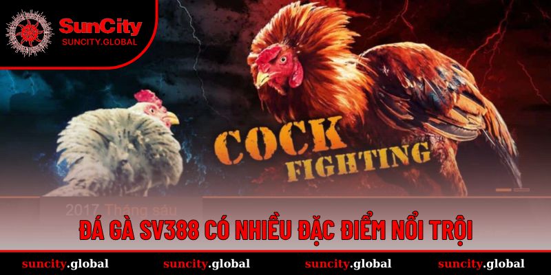 Đá Gà SV388 - Sảnh Cá Cược Chất Lượng Đến Từ Campuchia 2 Đá gà SV388 cung cấp nhiều lợi ích nổi bật