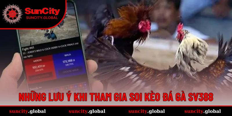 Đá Gà SV388 - Sảnh Cá Cược Chất Lượng Đến Từ Campuchia 4 Những lưu ý để dễ dàng tham gia cá cược đá gà