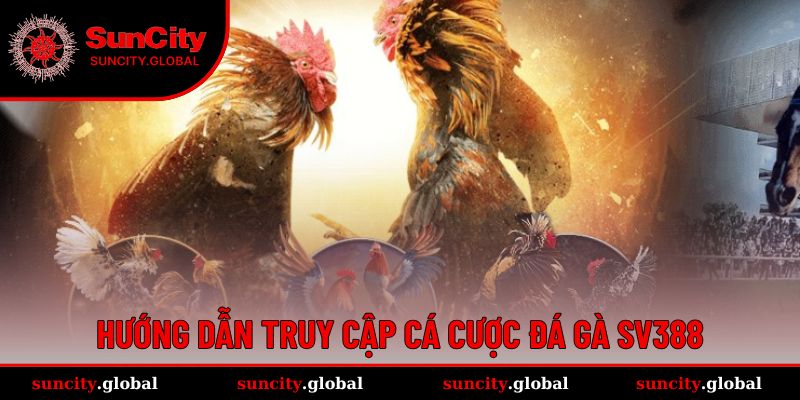 Đá Gà SV388 - Sảnh Cá Cược Chất Lượng Đến Từ Campuchia 3 Tham gia SV388 không khó, dễ dàng hoàn thành trong 5 phút