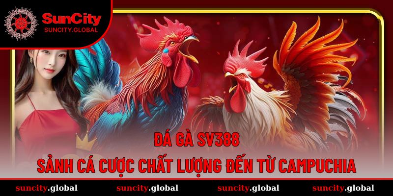 đá gà SV388