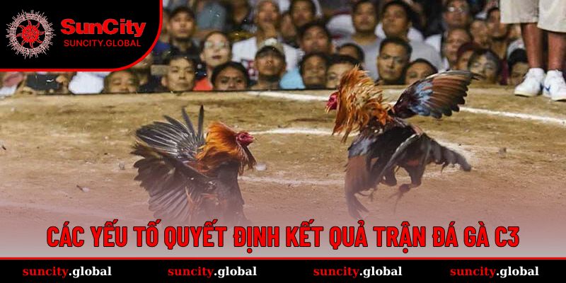 Đá Gà Trực Tiếp C3 - Môn Cân Não Cho Cược Thủ Lâu Năm 4 Kết quả đá gà C3 dựa trên nhiều yếu tố
