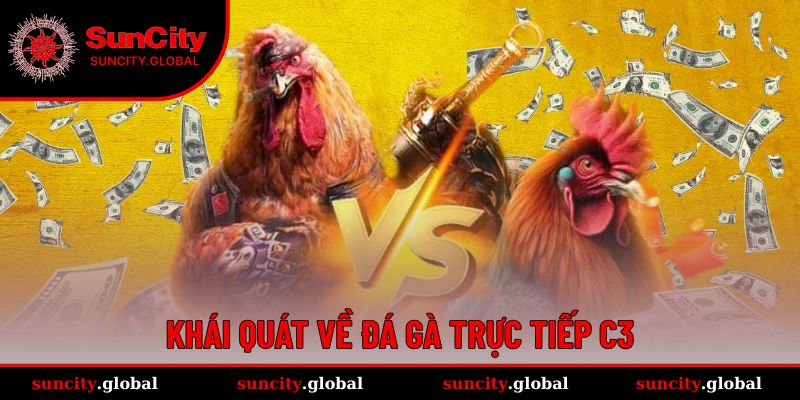 Đá Gà Trực Tiếp C3 - Môn Cân Não Cho Cược Thủ Lâu Năm 1 Đá gà trực tiếp C3 luôn đầy hấp dẫn
