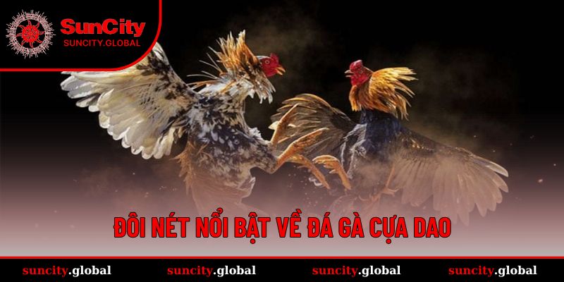Đá Gà Cựa Dao – Trải Nghiệm Đấu Trường Đỉnh Cao Tại SUNCITY 1 Khái niệm dễ hiểu cho tân binh