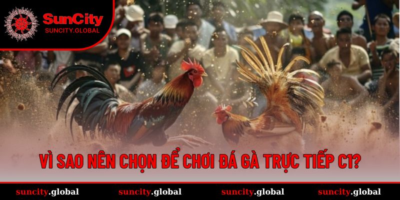 Đá Gà Trực Tiếp C1 - Sân Chơi Kịch Tính Đến Từng Phút Giây 2 Lý do bạn nên chơi đá gà trực tiếp C1