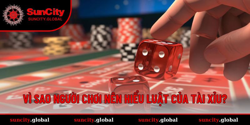 Luật Chơi Tài Xỉu - Cách Tham Gia Dễ Thắng Lớn Tại Suncity 2 Lý do cần tìm hiểu kỹ các quy định