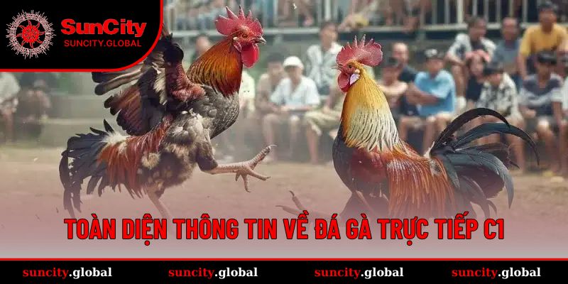 Đá Gà Trực Tiếp C1 - Sân Chơi Kịch Tính Đến Từng Phút Giây 1 Tất tần tật về trò chơi đá gà trực tiếp C1