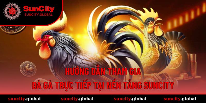 Tham gia ngay những trận đấu kê cùng Suncity