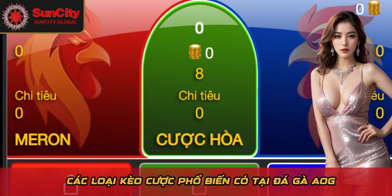 Đá Gà AOG Suncity - Kèo Cược Minh Bạch, Tỷ Lệ Thưởng Cao 3 Các loại kèo cược phổ biến có tại đá gà AOG