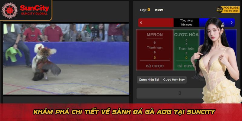 Đá Gà AOG Suncity - Kèo Cược Minh Bạch, Tỷ Lệ Thưởng Cao 1 Khám phá chi tiết về sảnh đá gà AOG tại Suncity