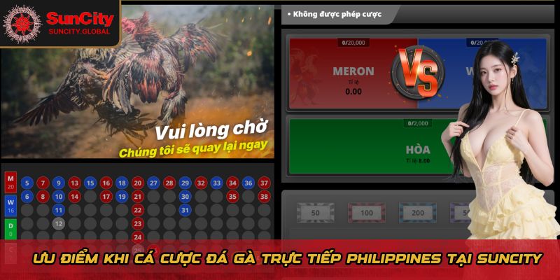 Đá Gà Trực Tiếp Philippines - Cược Nhanh, Nhận Thưởng Lớn 1 Ưu điểm khi cá cược đá gà trực tiếp Philippines tại Suncity